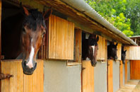 free Garmondsway stable construction quotes